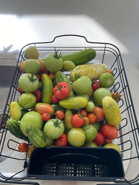 Ella's vegetables grocery